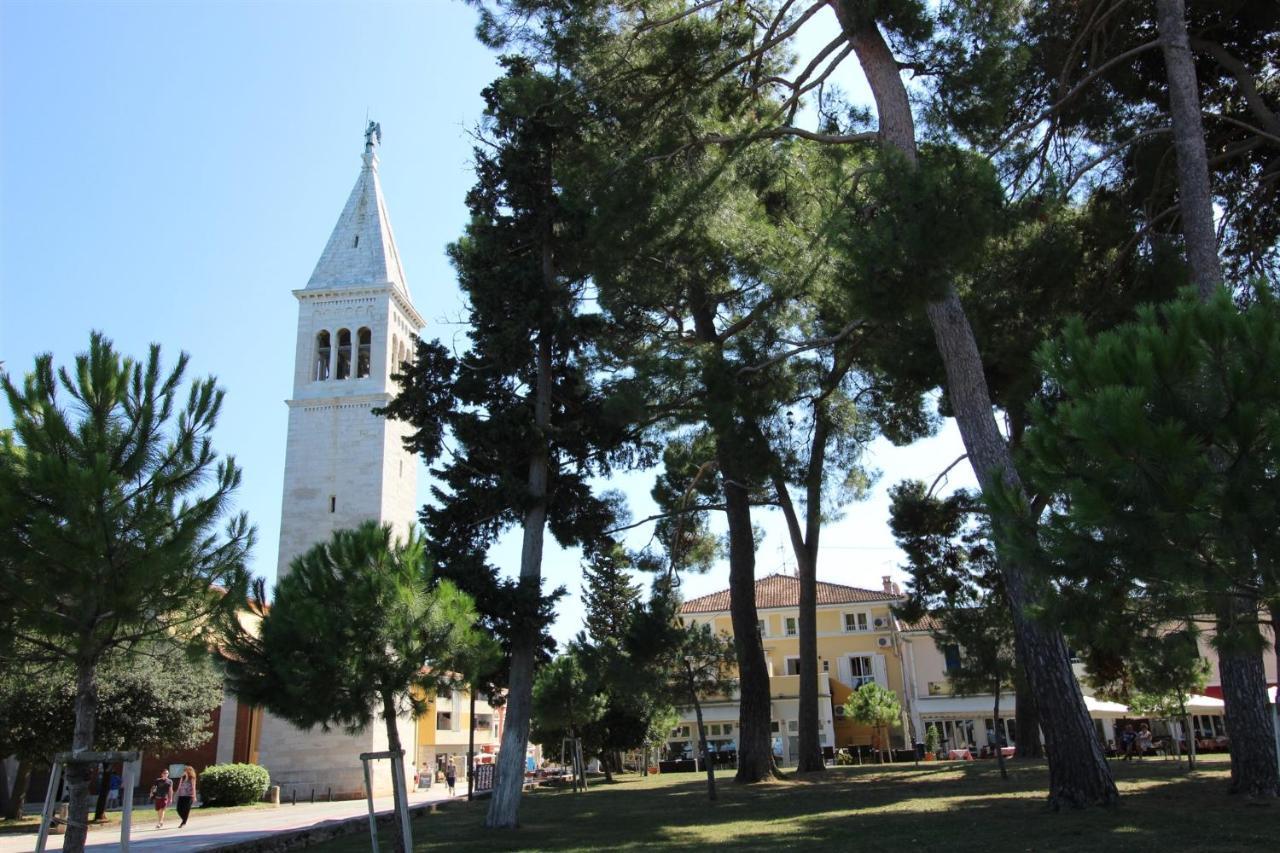 Novigrad IstriaGianna A4+2公寓 外观 照片